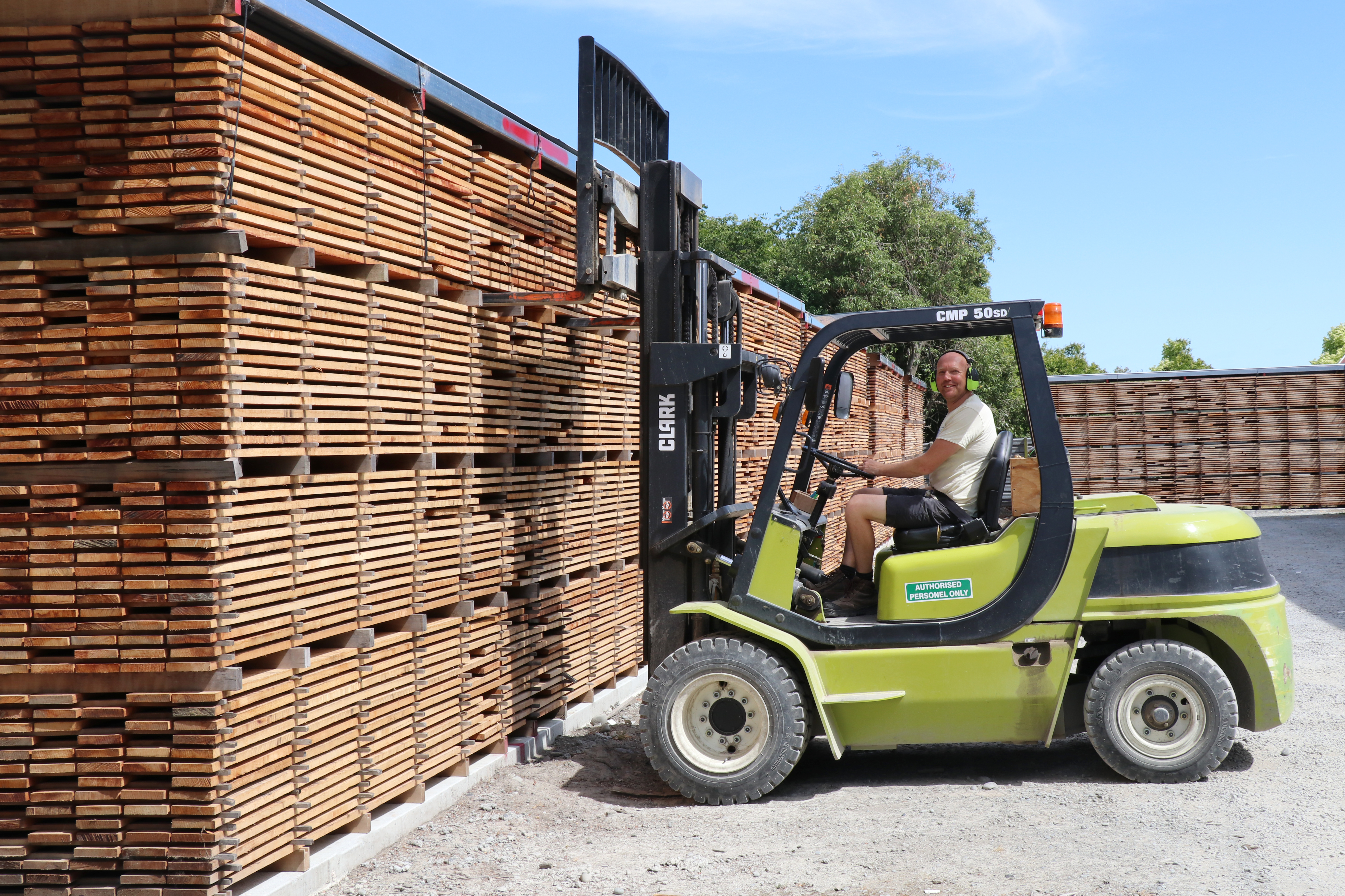 Timber046