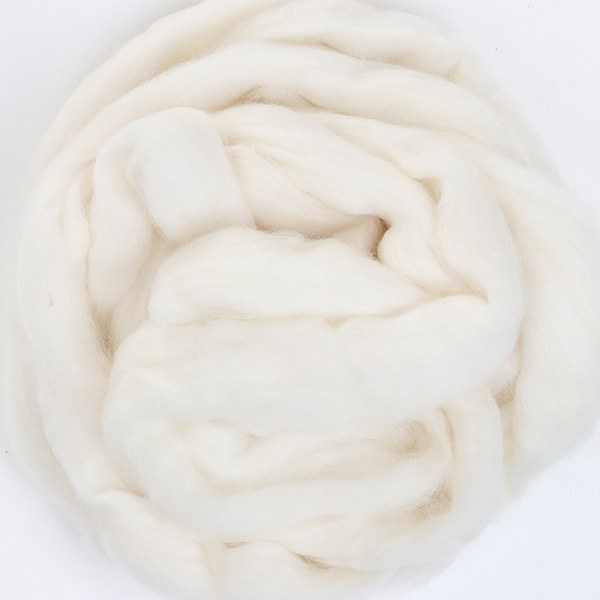 White Polwarth